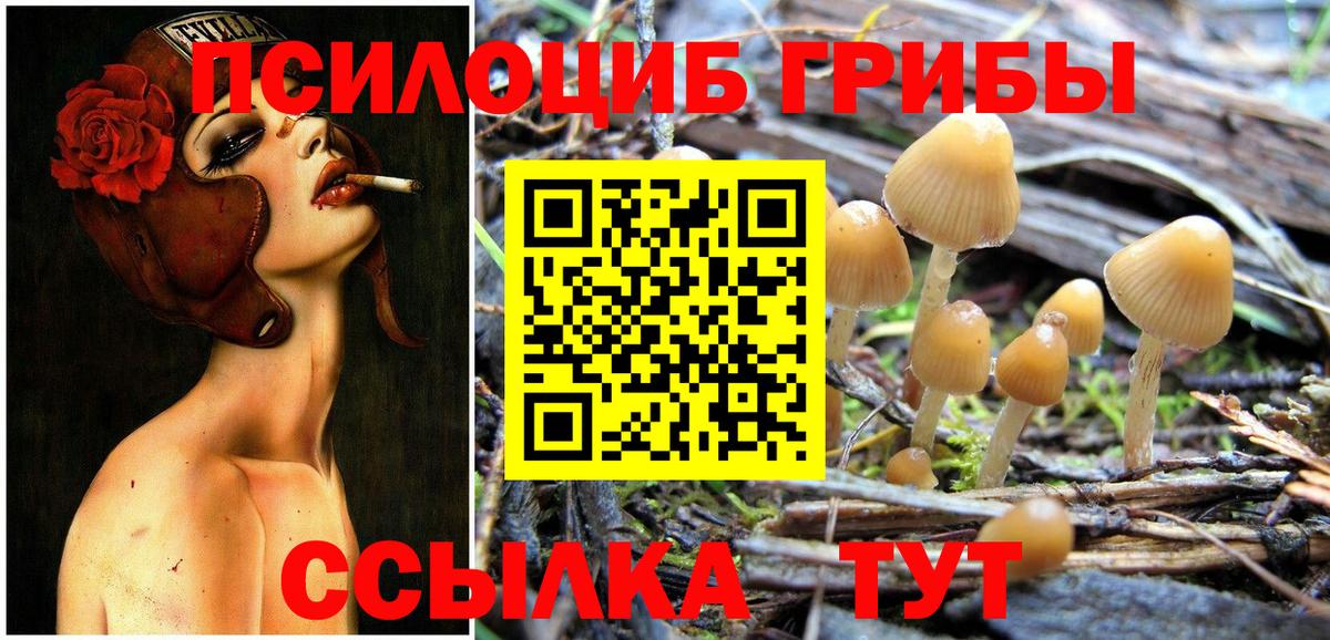 LSD-25  Марихуана  Меф МЯУ МЯУ  МДМА  Тихвин  Вход с VPN  Купить  ГАШИШ  Меф МЯУ МЯУ   Cocaine 