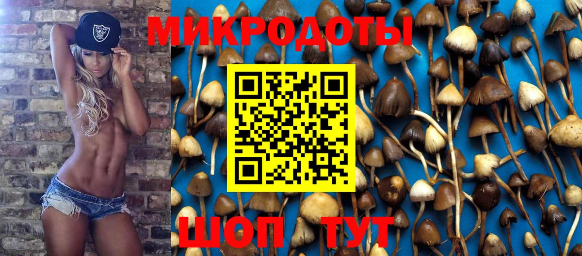 Тихвин  Псилоцибиновые грибы мухоморы  Псилоцибиновые грибы Psilocybe  Вход с VPN 